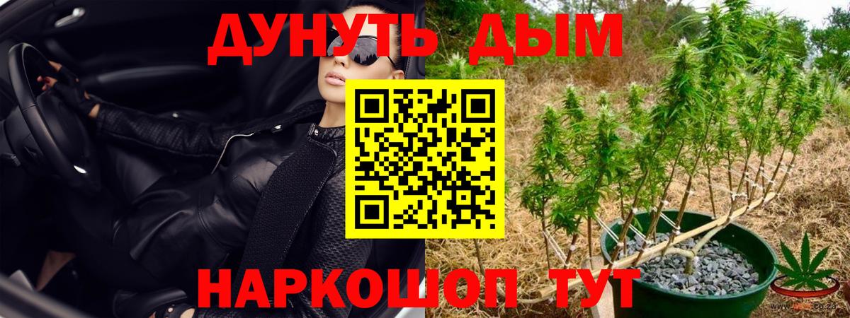 Бошки Шишки гибрид Феодосия